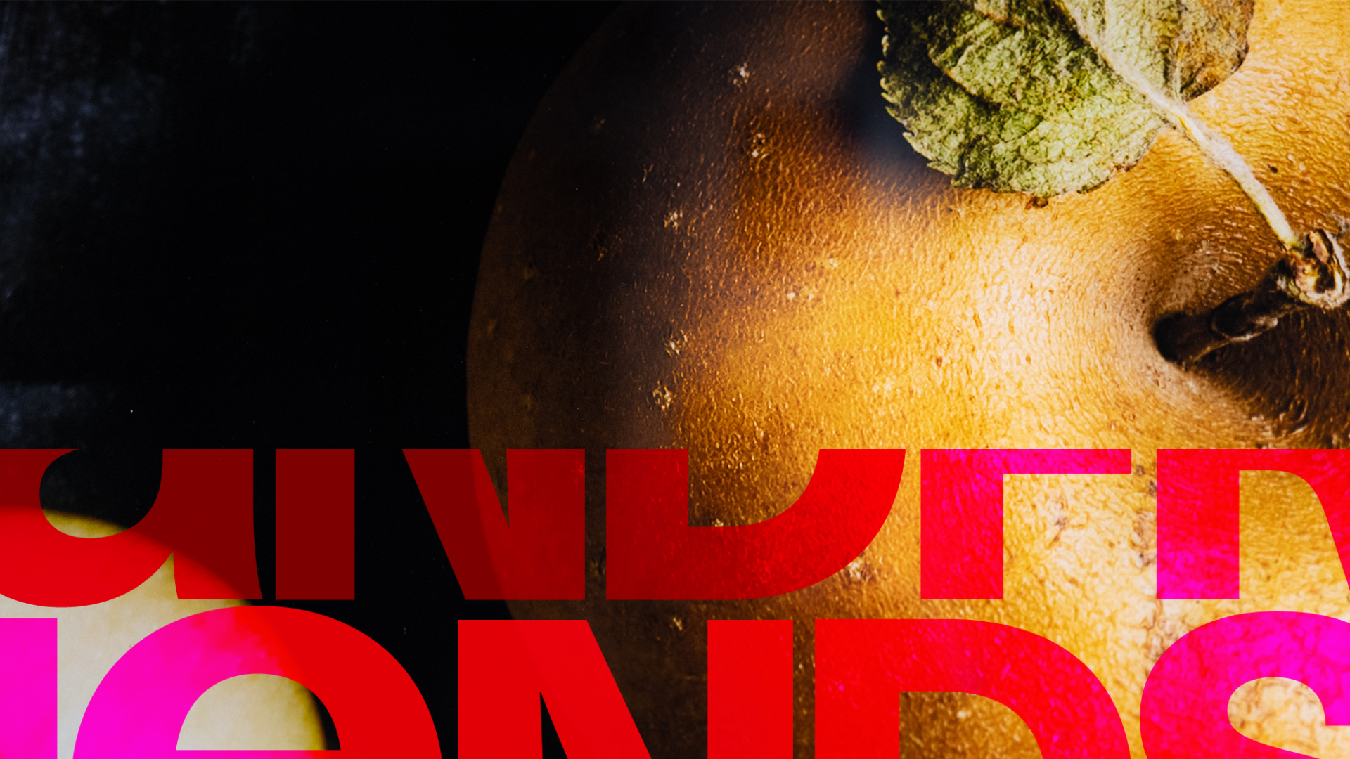 Apfel FineArt Ptinting